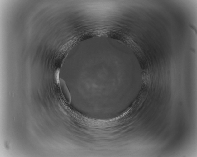 X0000100840047200806201201