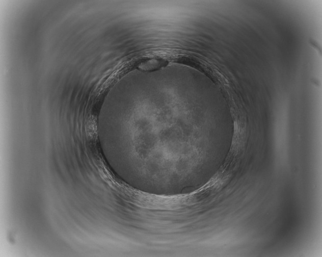 X0000100840048200806201201