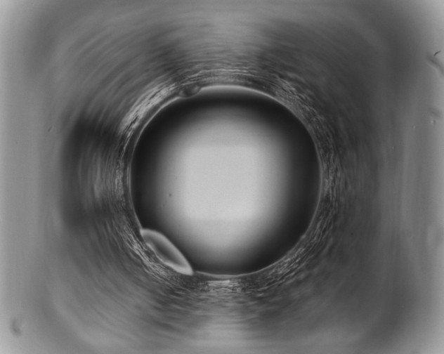 X0000100840050200806201200