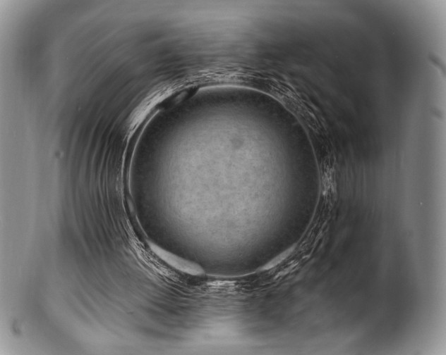 X0000100840052200806201200