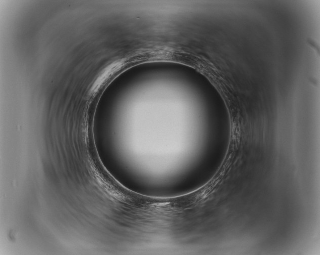 X0000100840054200806201200