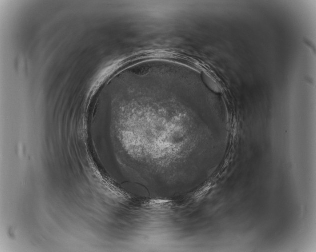 X0000100840055200806201200