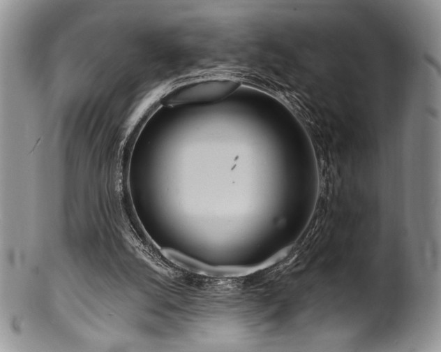 X0000100840056200806201200