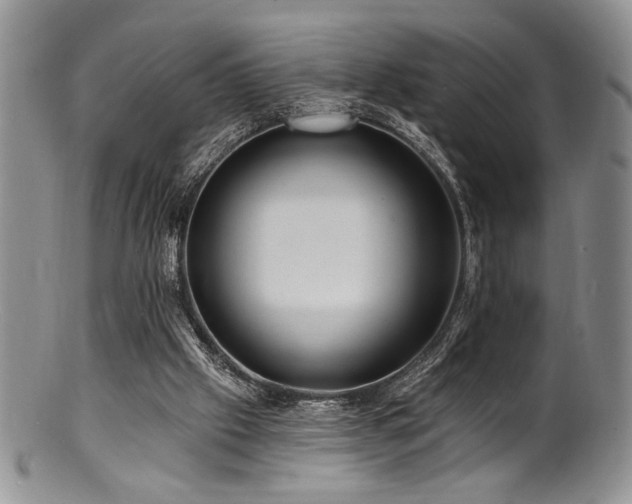 X0000100840057200806201200