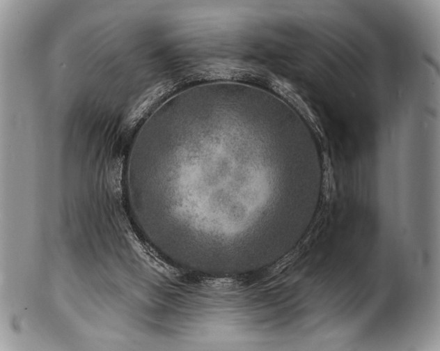 X0000100840058200806201200