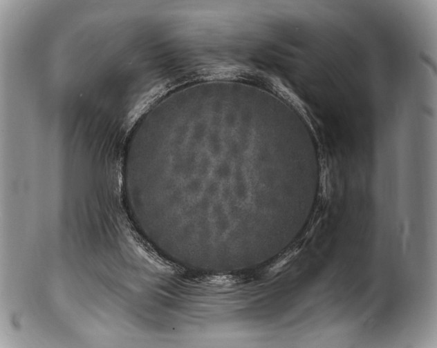 X0000100840059200806201200