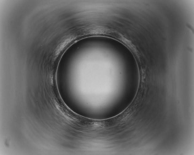 X0000100840060200806201200