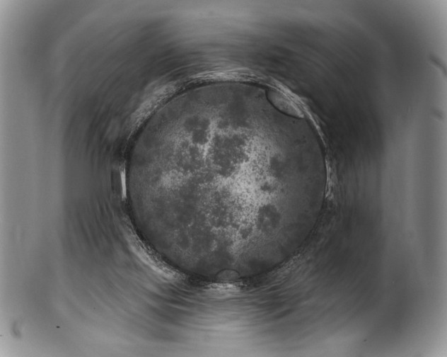 X0000100840061200806201200