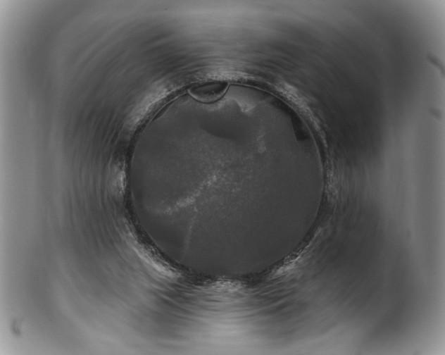 X0000100840063200806201200