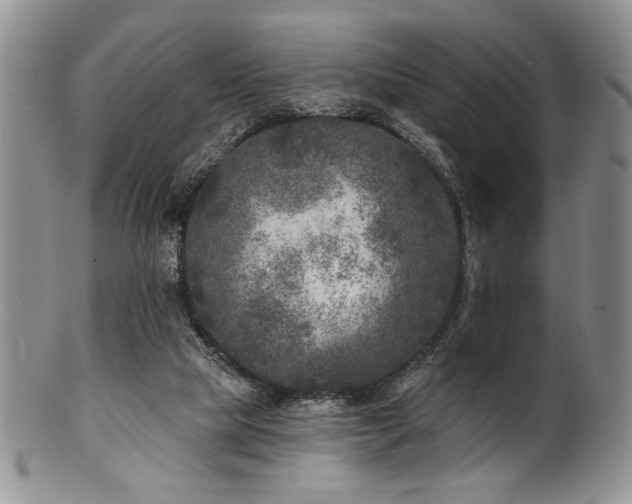 X0000100840065200806201200