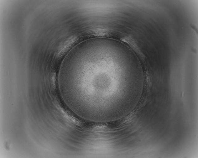 X0000100840066200806201200