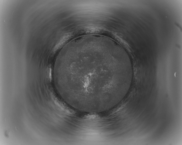 X0000100840067200806201200