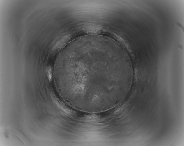 X0000100840069200806201200