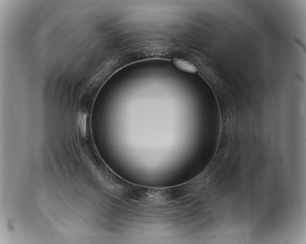 X0000100840070200806201200