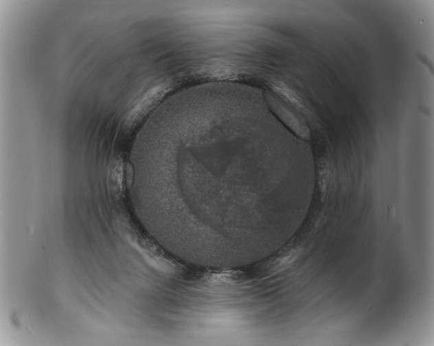 X0000100840072200806201200