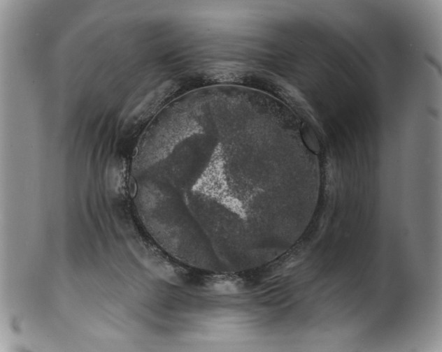 X0000100840073200806201200