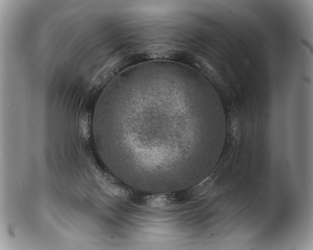 X0000100840074200806201200