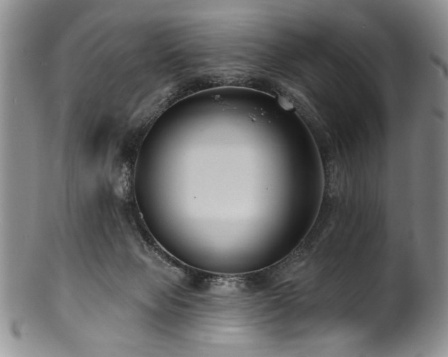 X0000100840077200806201200