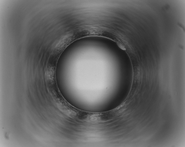 X0000100840078200806201200