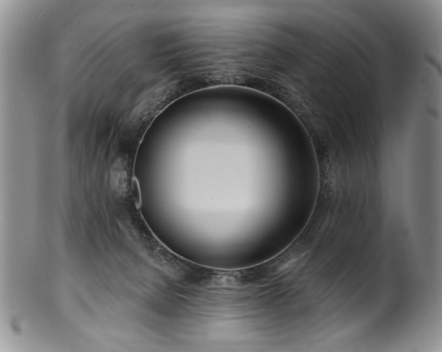 X0000100840080200806201200