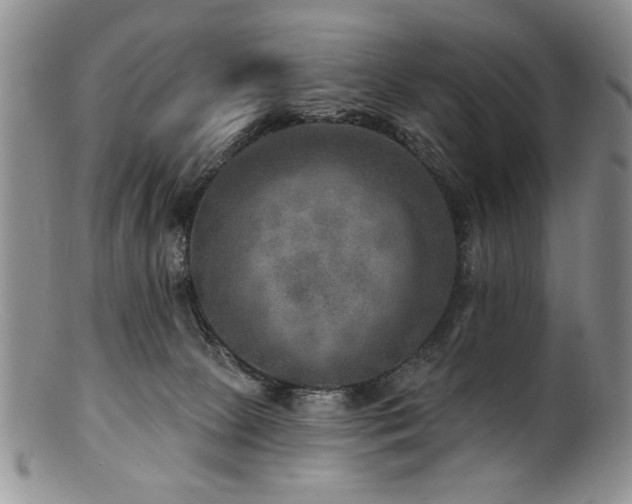 X0000100840081200806201200