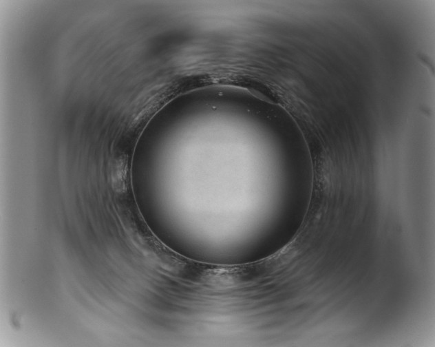 X0000100840082200806201200