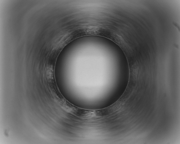 X0000100840083200806201201