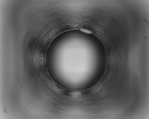 X0000100840085200806201201