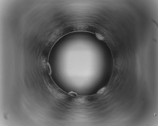 X0000100840086200806201201