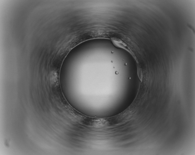 X0000100840087200806201201