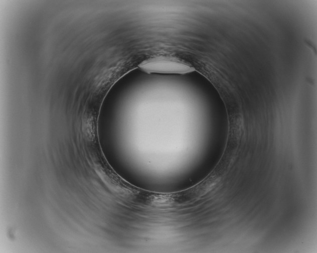 X0000100840088200806201201