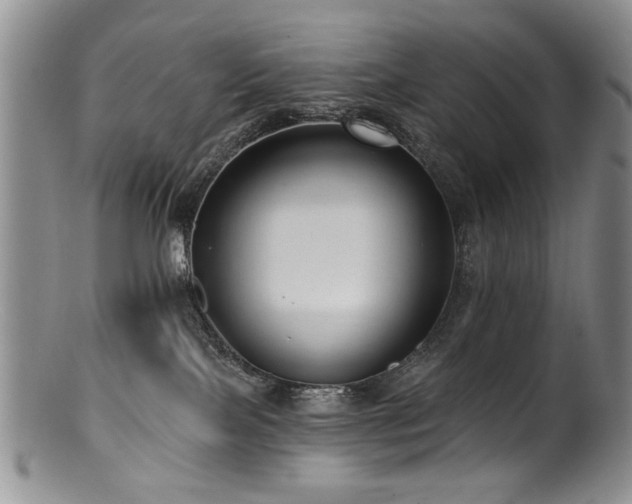 X0000100840089200806201201