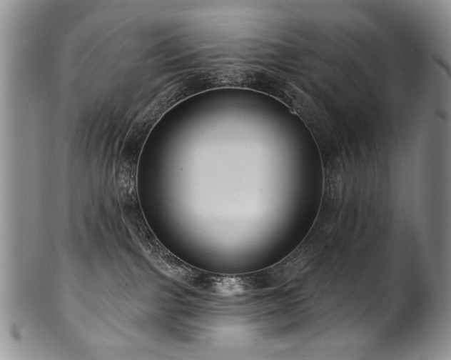 X0000100840091200806201201