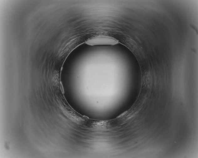 X0000100840092200806201201