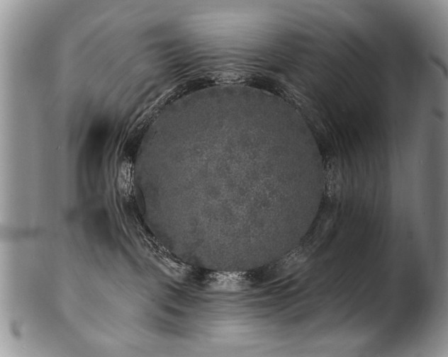 X0000100840093200806201201