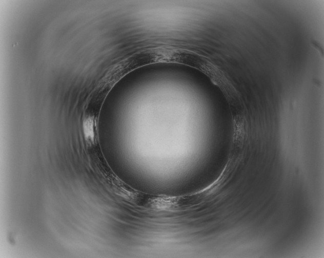 X0000100840094200806201201