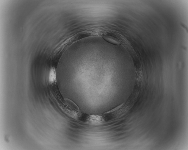 X0000100840095200806201201