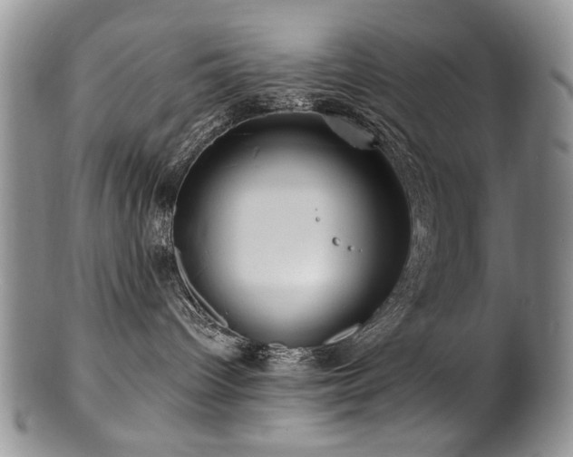 X0000100840096200806201201