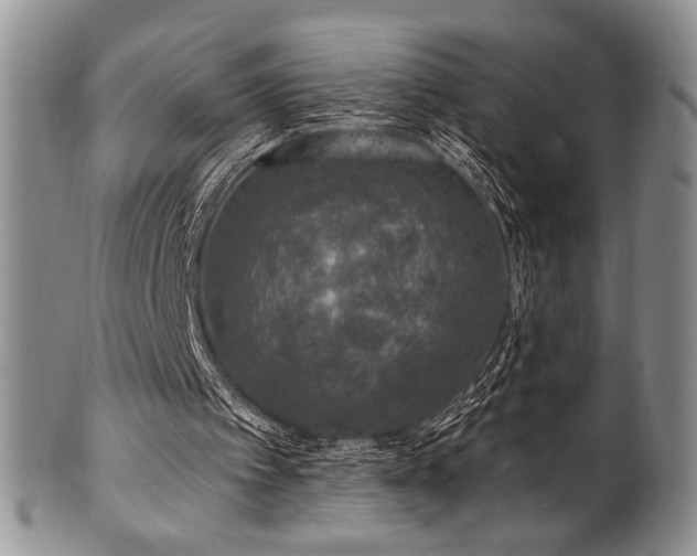 X0000100840097200806201200