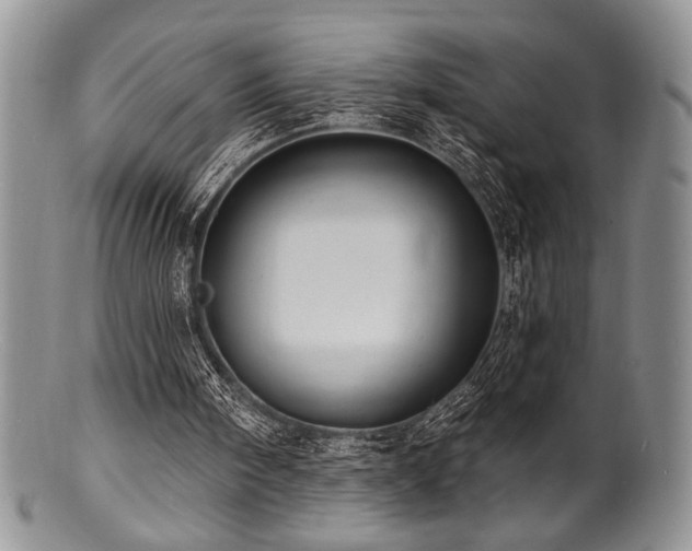 X0000100840098200806201200