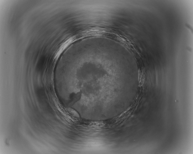 X0000100840099200806201200