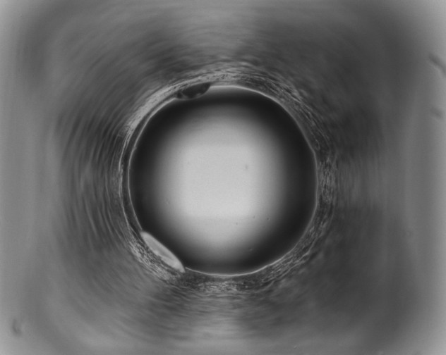 X0000100840100200806201200