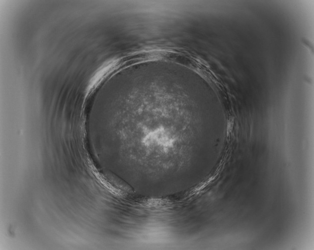 X0000100840101200806201200