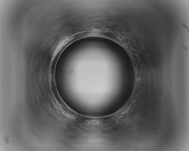 X0000100840102200806201200