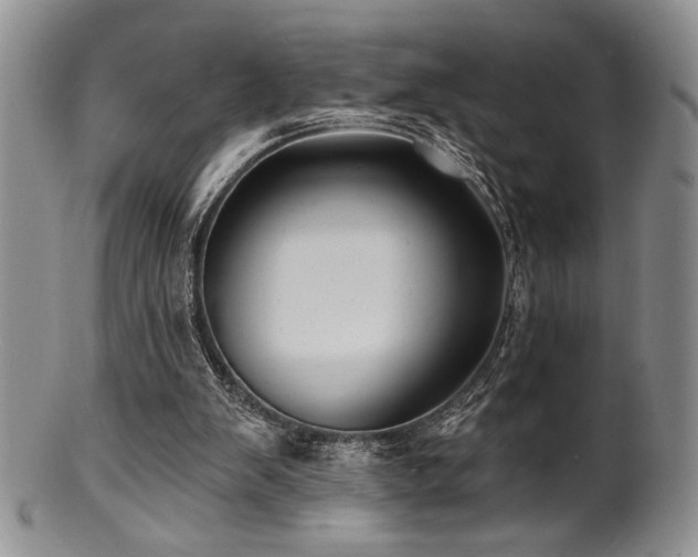 X0000100840103200806201200