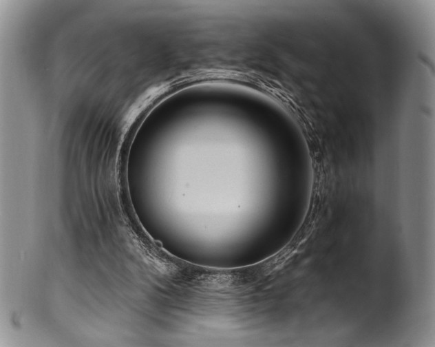 X0000100840104200806201200