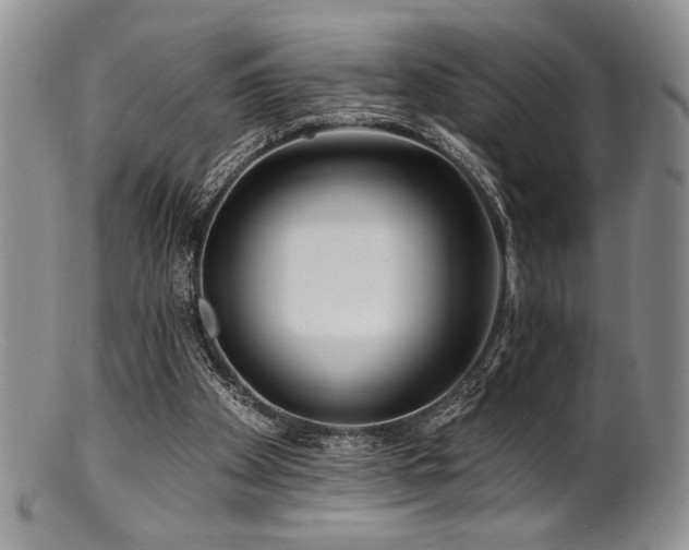 X0000100840105200806201200