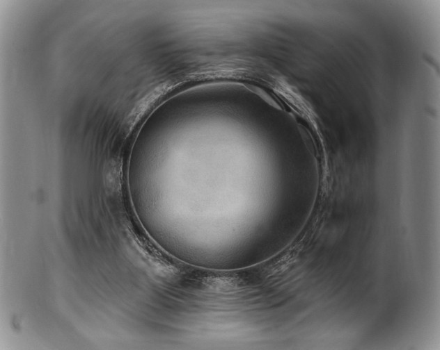 X0000100840107200806201200