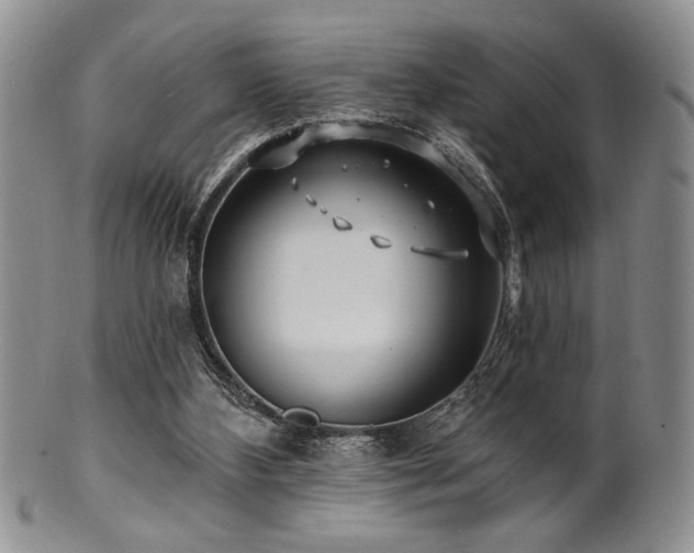 X0000100840108200806201200