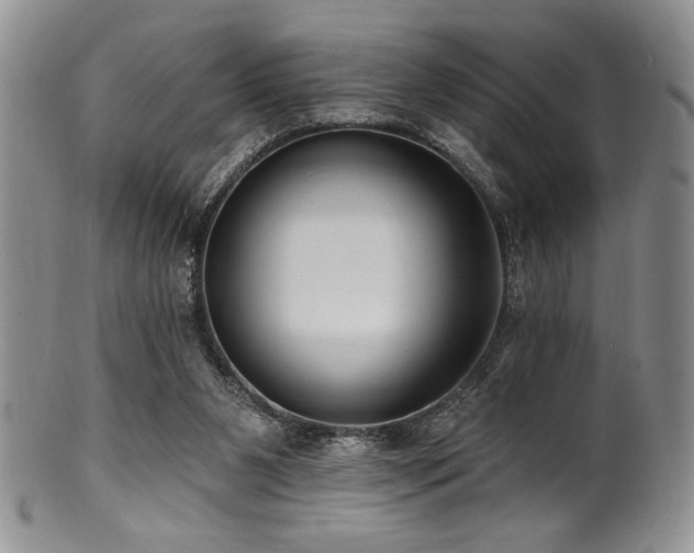 X0000100840111200806201200